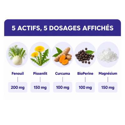 Les 5 actifs d'Équilibre Digestif : fenouil, pissenlit, curcuma, BioPerine et magnésium bisglycinate