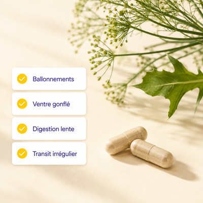 Symptômes ciblés par Équilibre Digestif : ballonnements, ventre gonflé, digestion lente, transit irrégulier